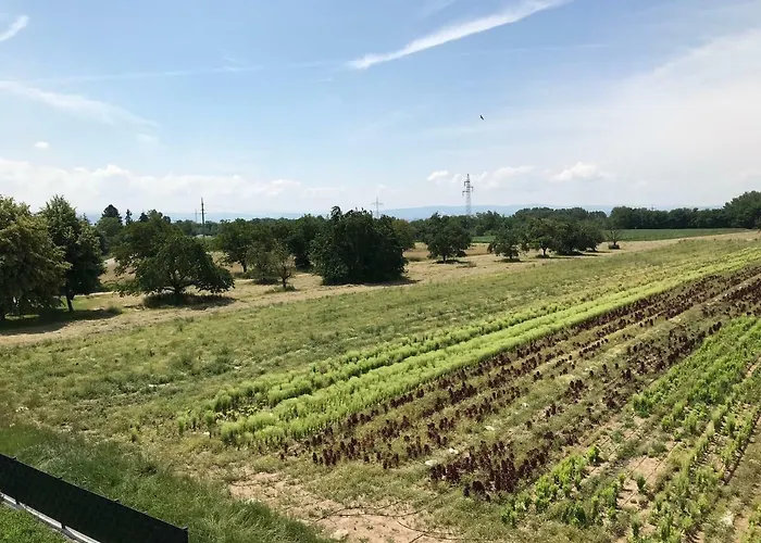 Ferienwohnung Eimeldingen